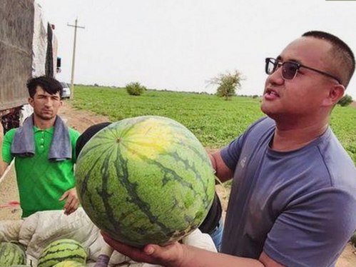 网红内幕大曝光:从崛起到争议的全程回顾