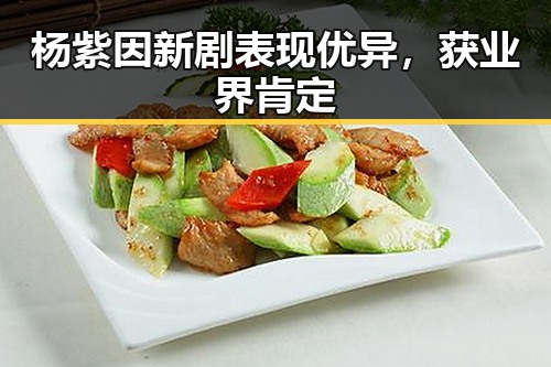 杨紫因新剧表现优异，获业界肯定