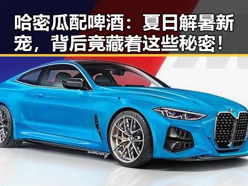 哈密瓜配啤酒：夏日解暑新宠，背后竟藏着这些秘密！